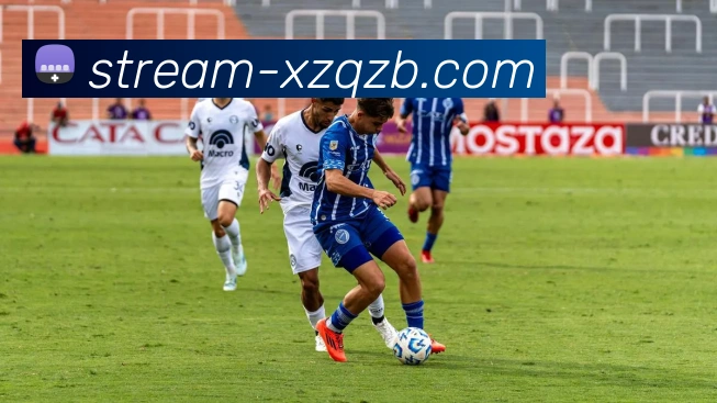 新足球直播全站App